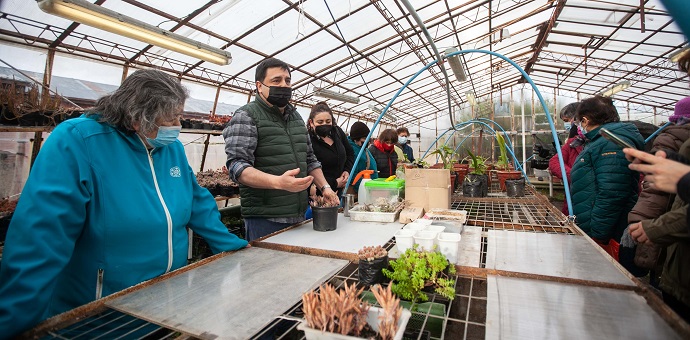Punta Arenas se convirtió en la primera comuna del país en ejecutar el “Programa Autoconsumo”,  del Ministerio de Desarrollo Social y Familia, a través de una universidad con experiencia en seguridad alimentaria. 